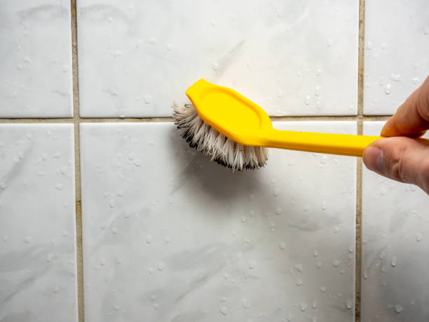 Best Mold Testing and Inspection Services in Longview, TX