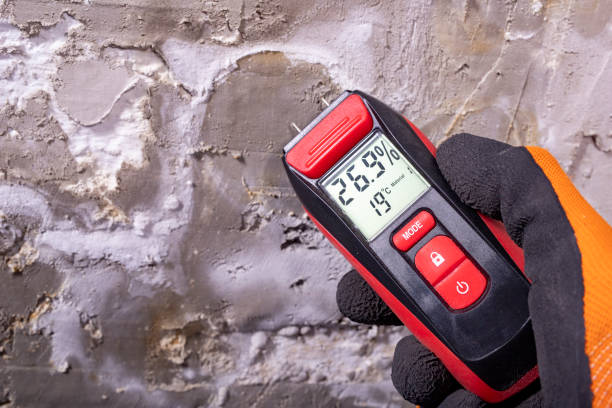 Best Crawl Space Mold Remediation in Longview, TX