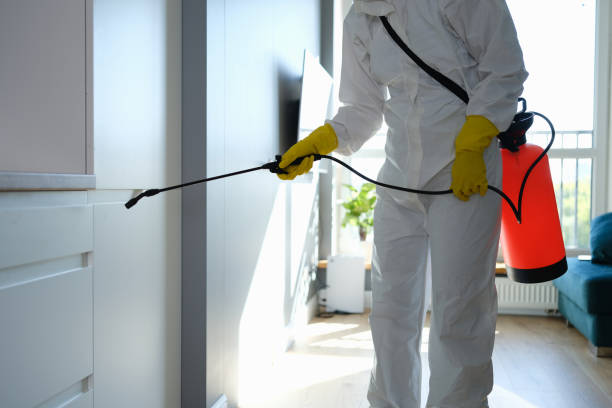 Best Post-Flood Mold Remediation in Longview, TX