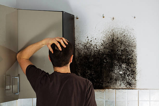 Best HVAC Mold Remediation in Longview, TX